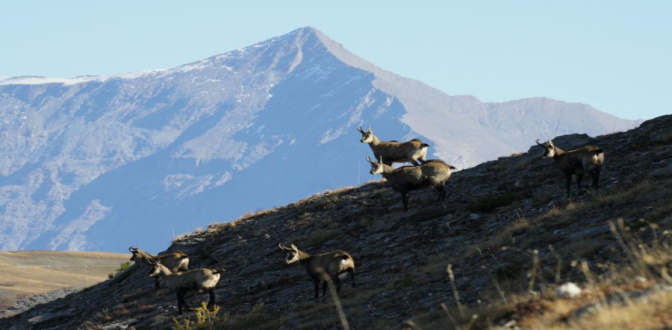 TRE ESCURSIONI NEL PARCO NATURALE ORSIERA – ROCCIAVRE’